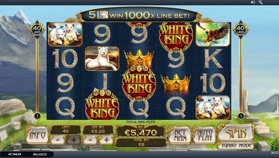 Big Win casino screenshots3